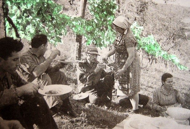 All'ombra delle viti 1950